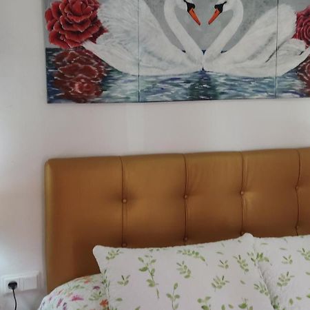 Appartamento Apartamento Mandala El Bosque Esterno foto